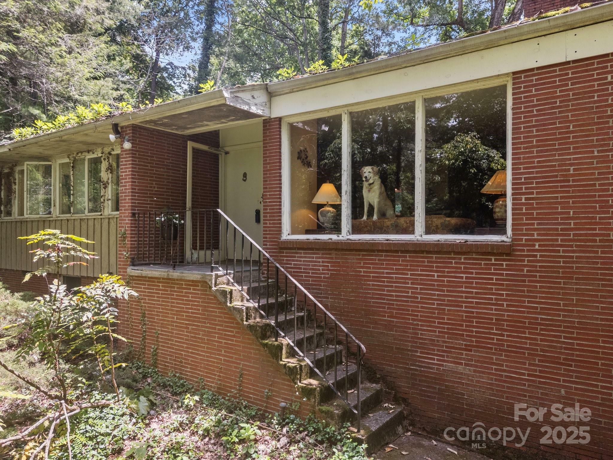 Property Photo:  111 Griffing Circle  NC 28804 