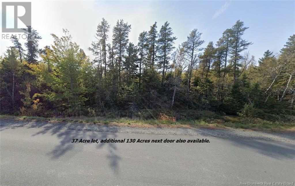Lot Rte 117 Hardwicke  Hardwicke NB E9A 1J9 photo
