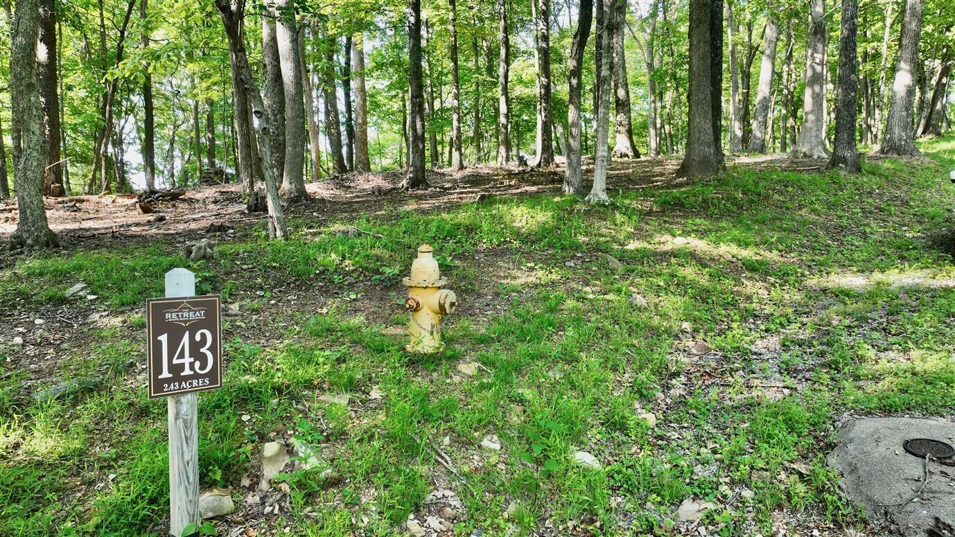 Property Photo: Lot 143 Withrow Lndg WV 24925