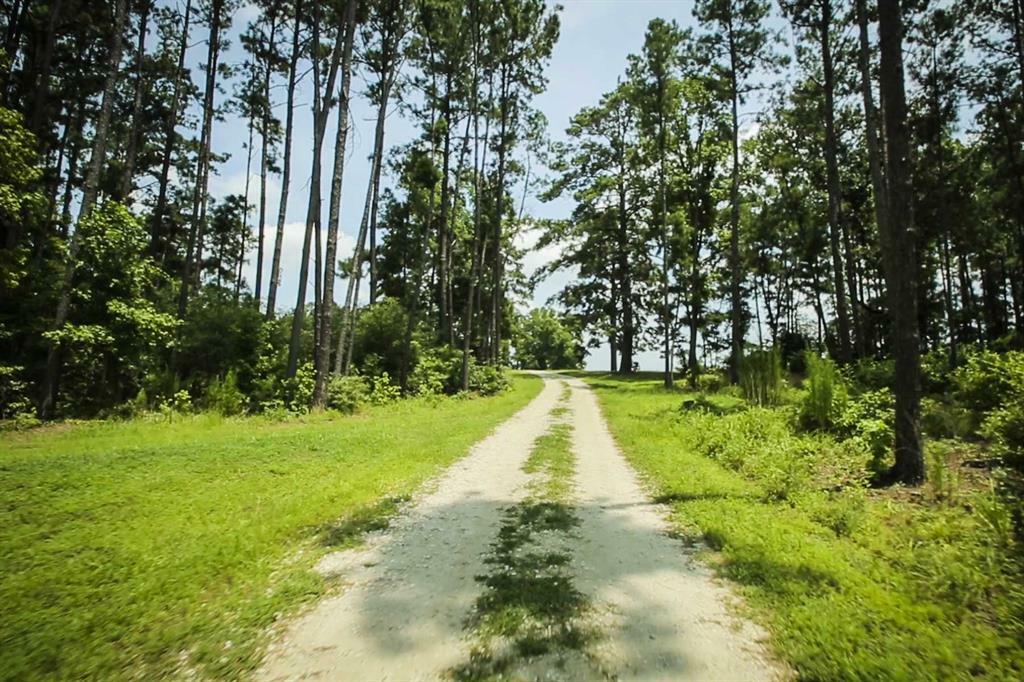 Property Photo: 349 B Lee Road Road TX 75845