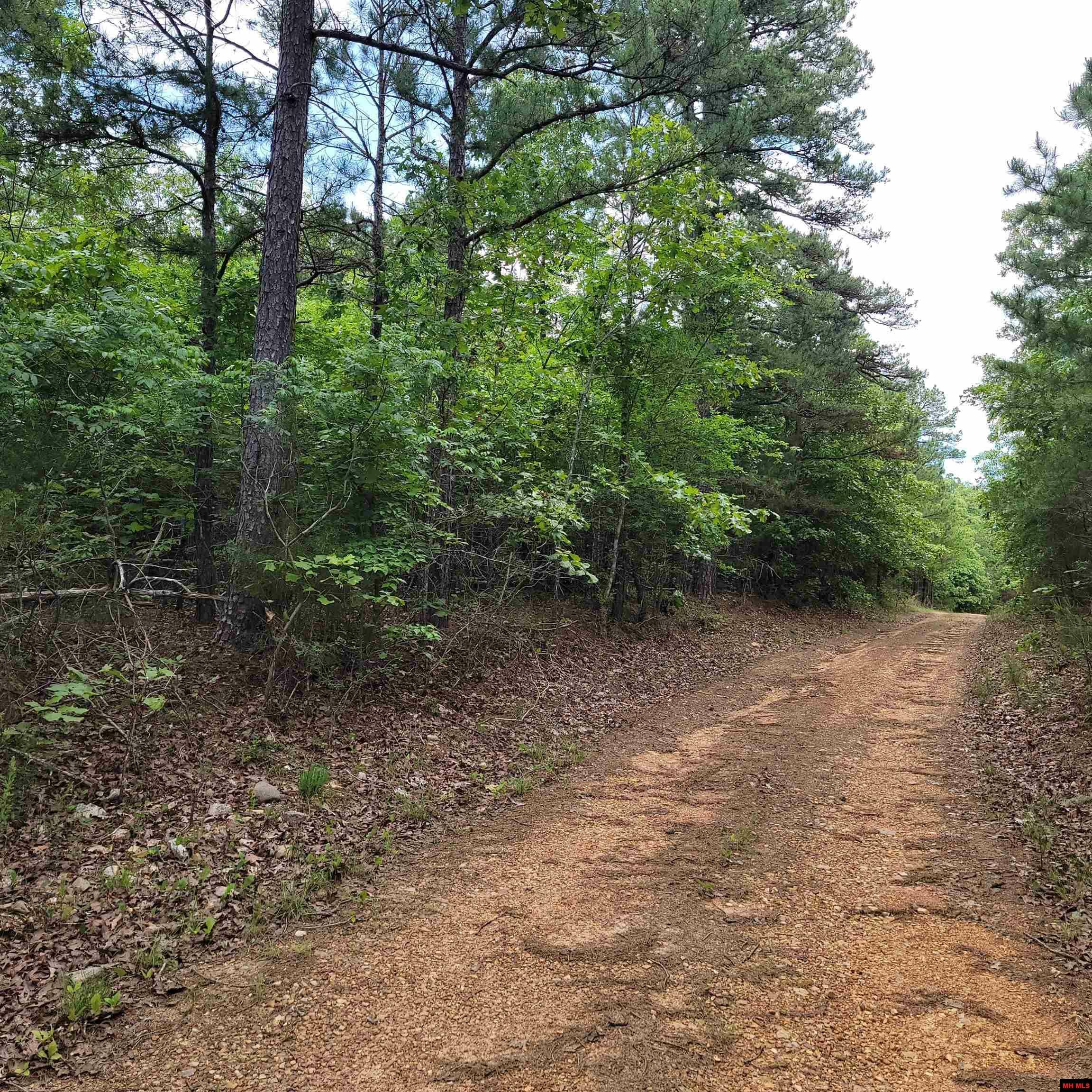 Property Photo: Lot 2 Reynolds Island Cove AR 72531