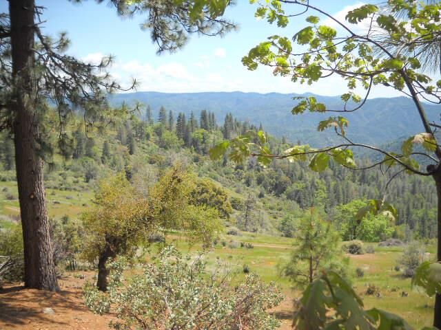 Property Photo:  1202 Heather Drive  CA 95247 