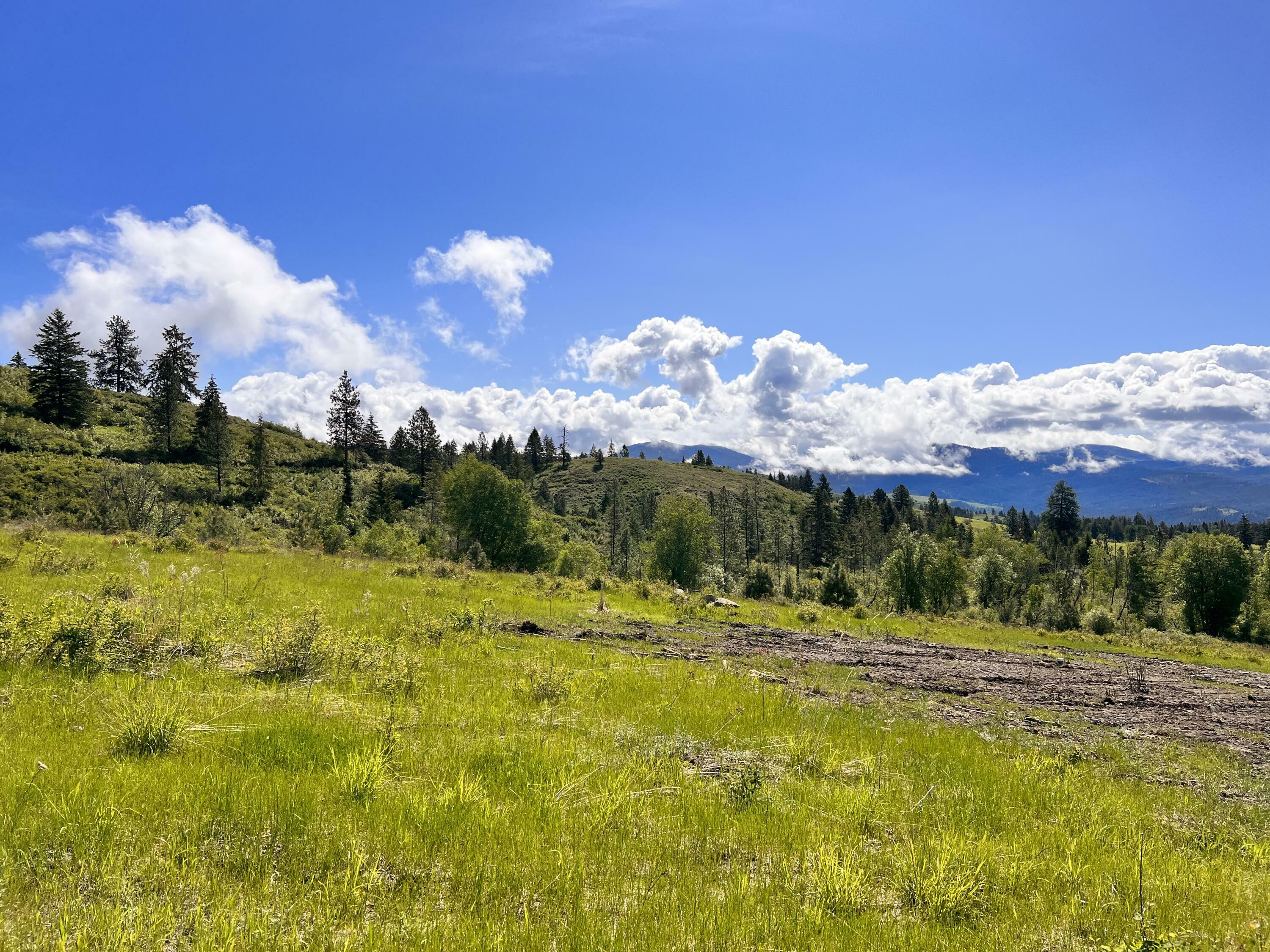 Property Photo: 44 Moonlight Dr WA 99118