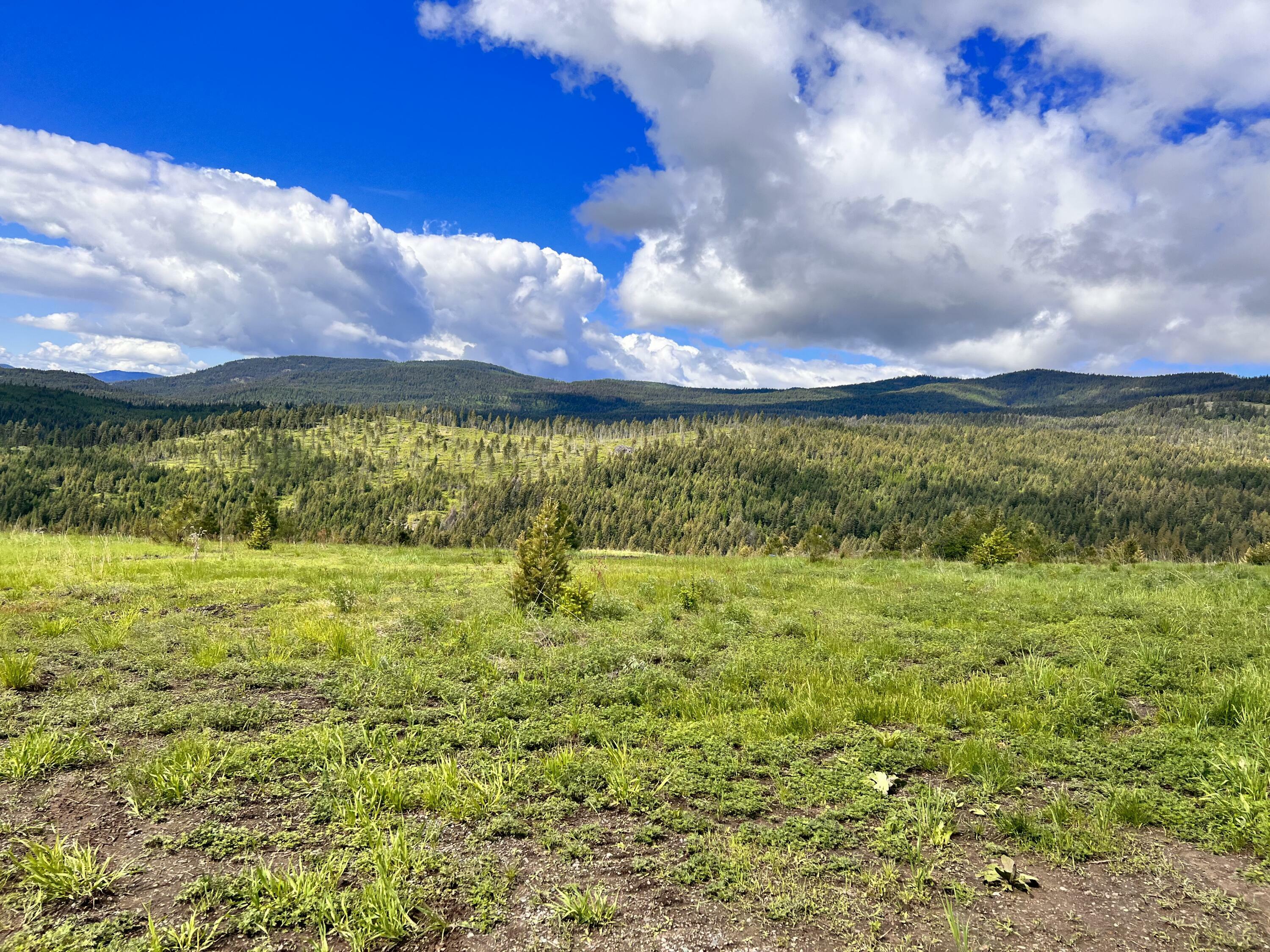 Property Photo: 39 Moonlight Dr WA 99118