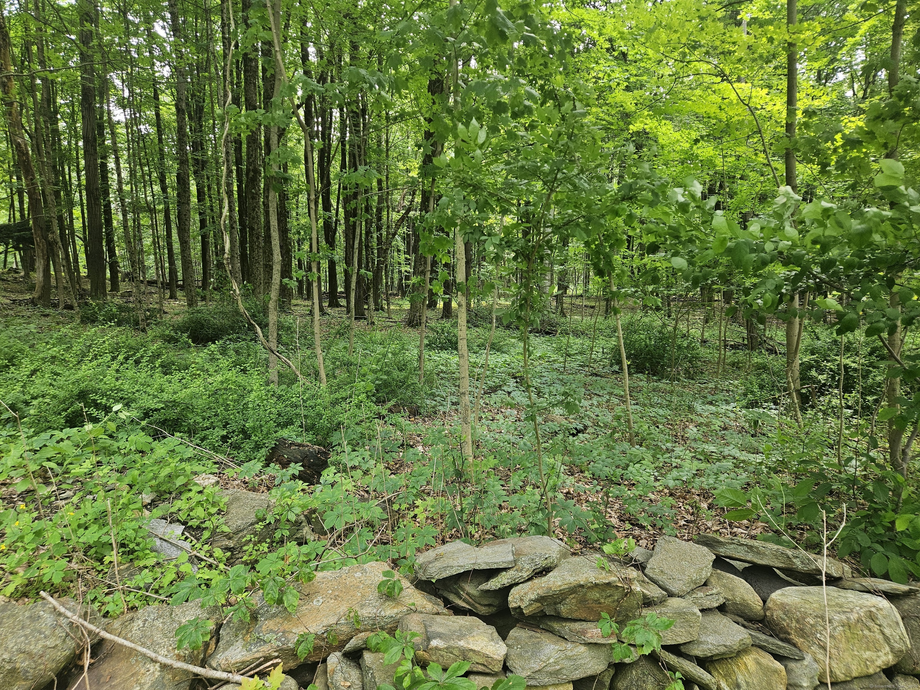 Property Photo: 0 Taylor Road CT 06776