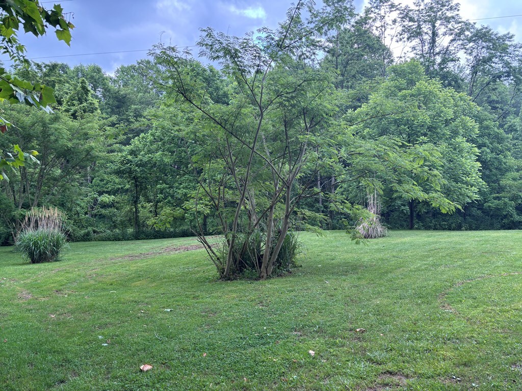 Property Photo: 0 Luckhart Road OH 45644