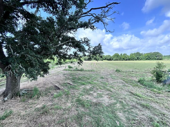 Property Photo:  Tbd Sonnier Road 3-E  LA 70525 