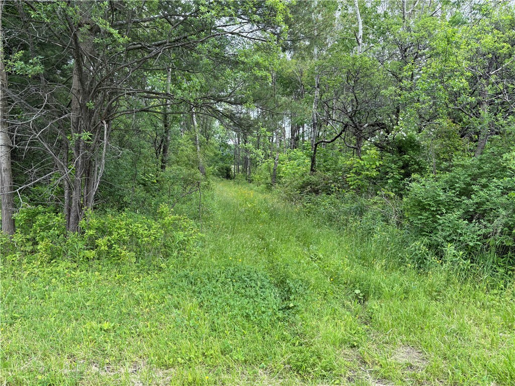 0 County Road 23  Watkins Glen NY 14891 photo
