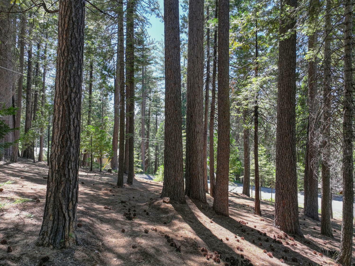 Property Photo: 1934 Almaden Drive CA 95223