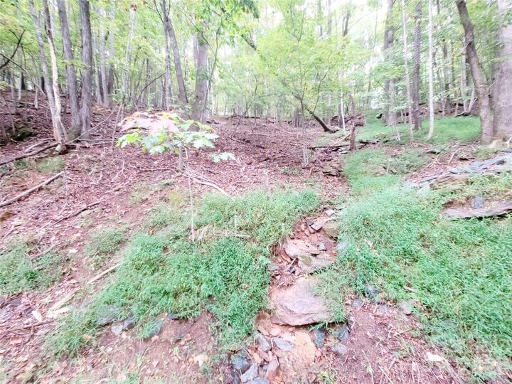Property Photo:  47 Sourwood Drive 197  NC 28759 