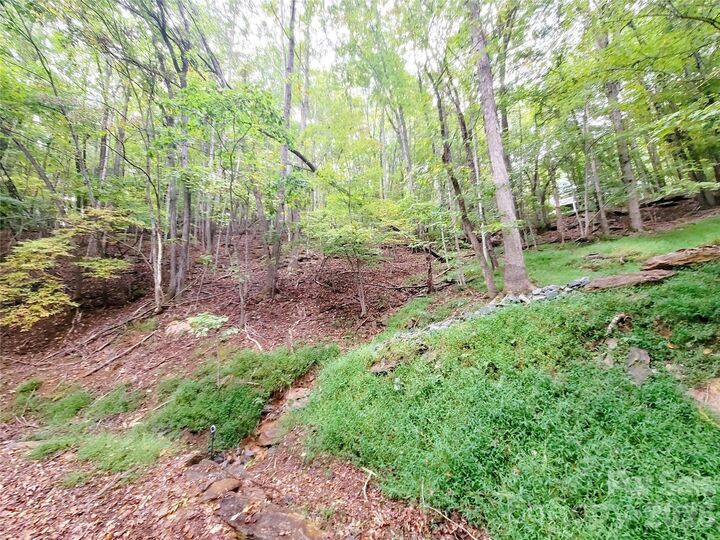 Property Photo: 47 Sourwood Drive 197 NC 28759