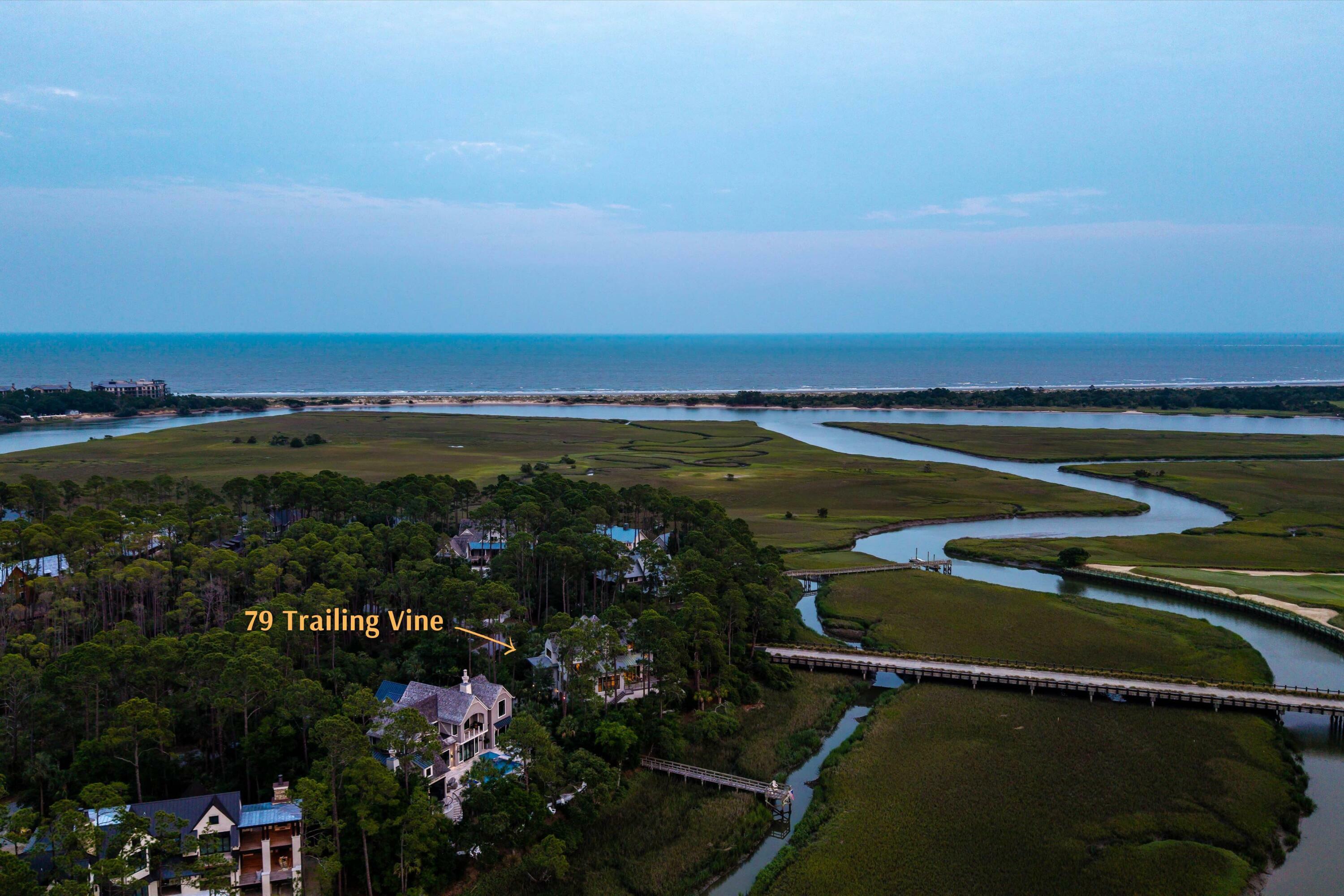 Property Photo: 79 Trailing Vine Way SC 29455