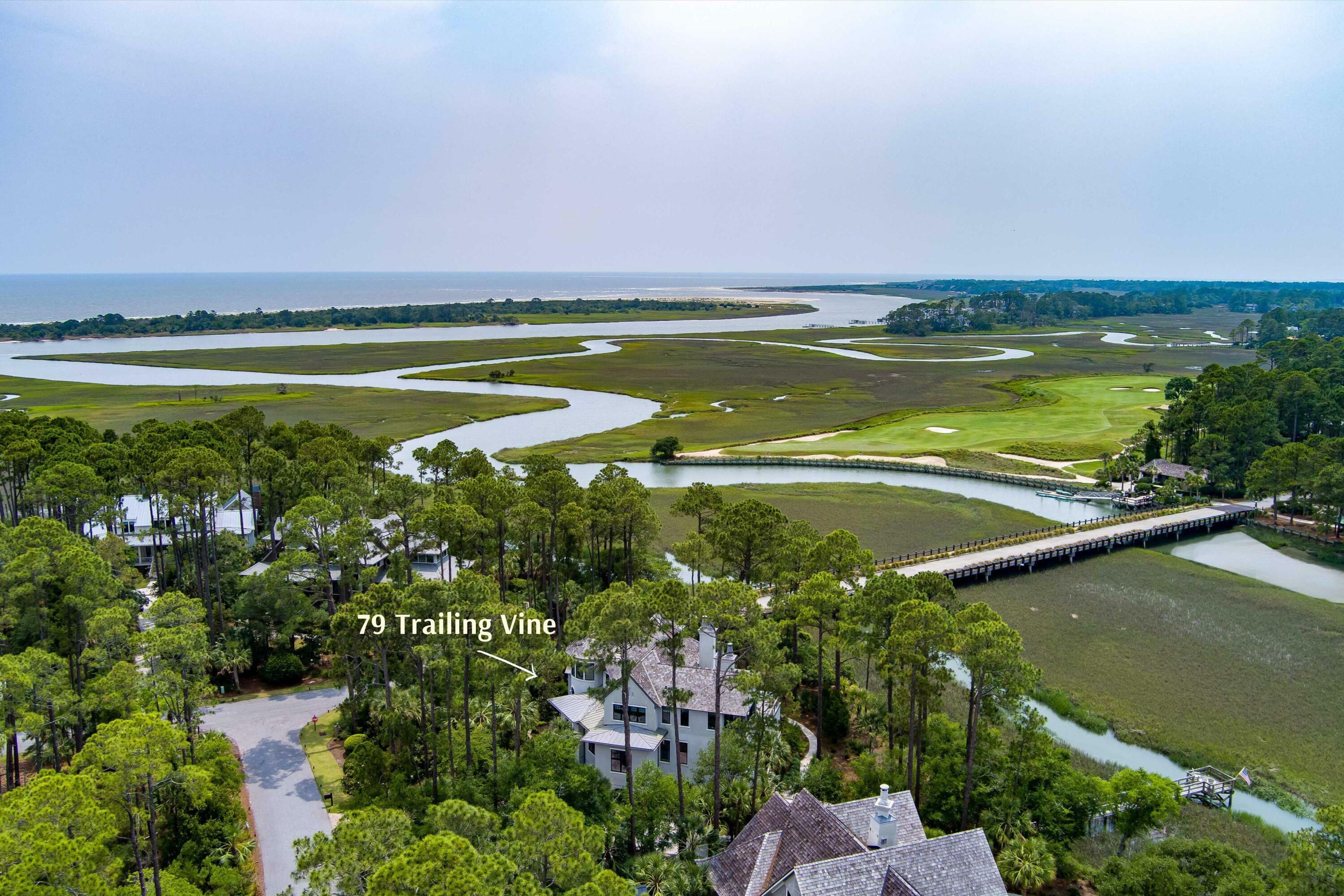 79 Trailing Vine Way  Kiawah Island SC 29455 photo