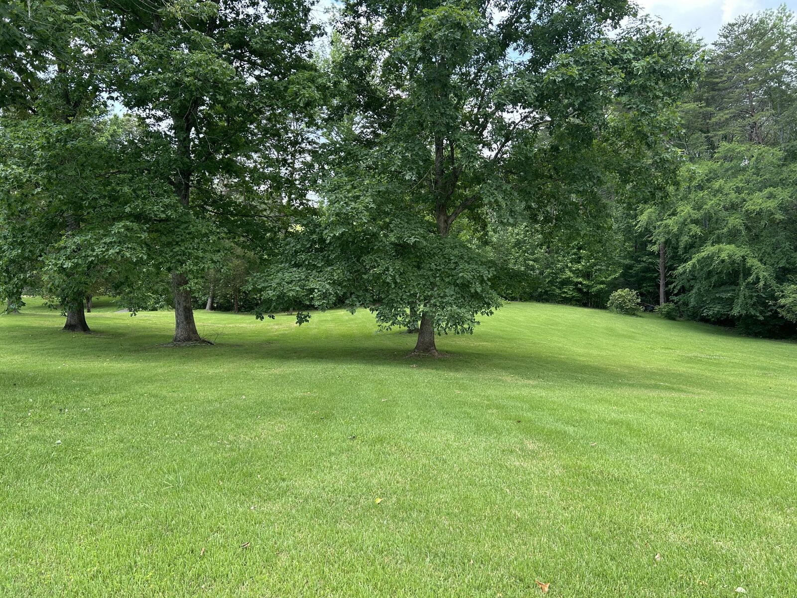 Property Photo:  107 Brow Road  TN 37327 