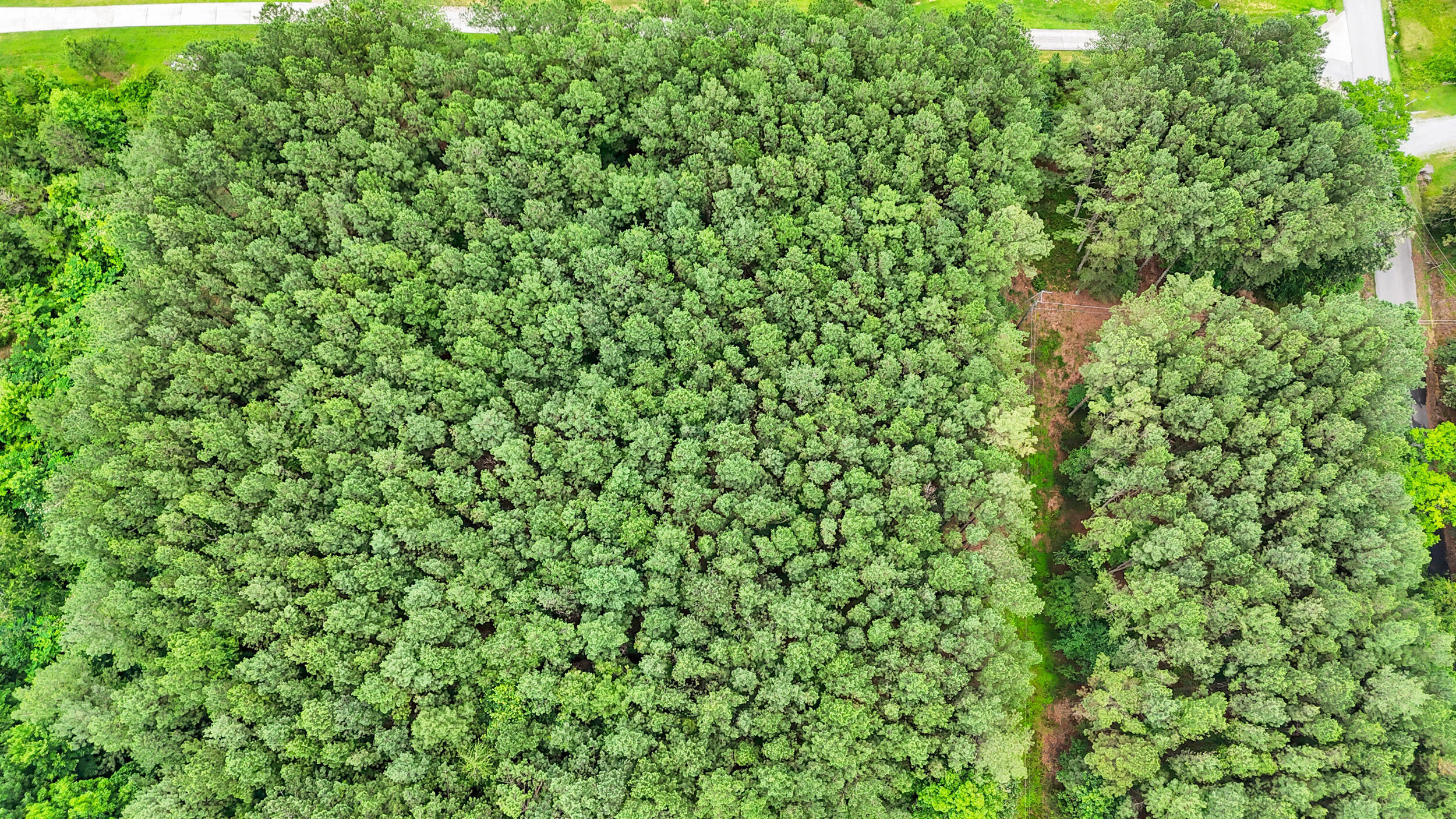 Property Photo: 1645 Billingsley Road TN 37379