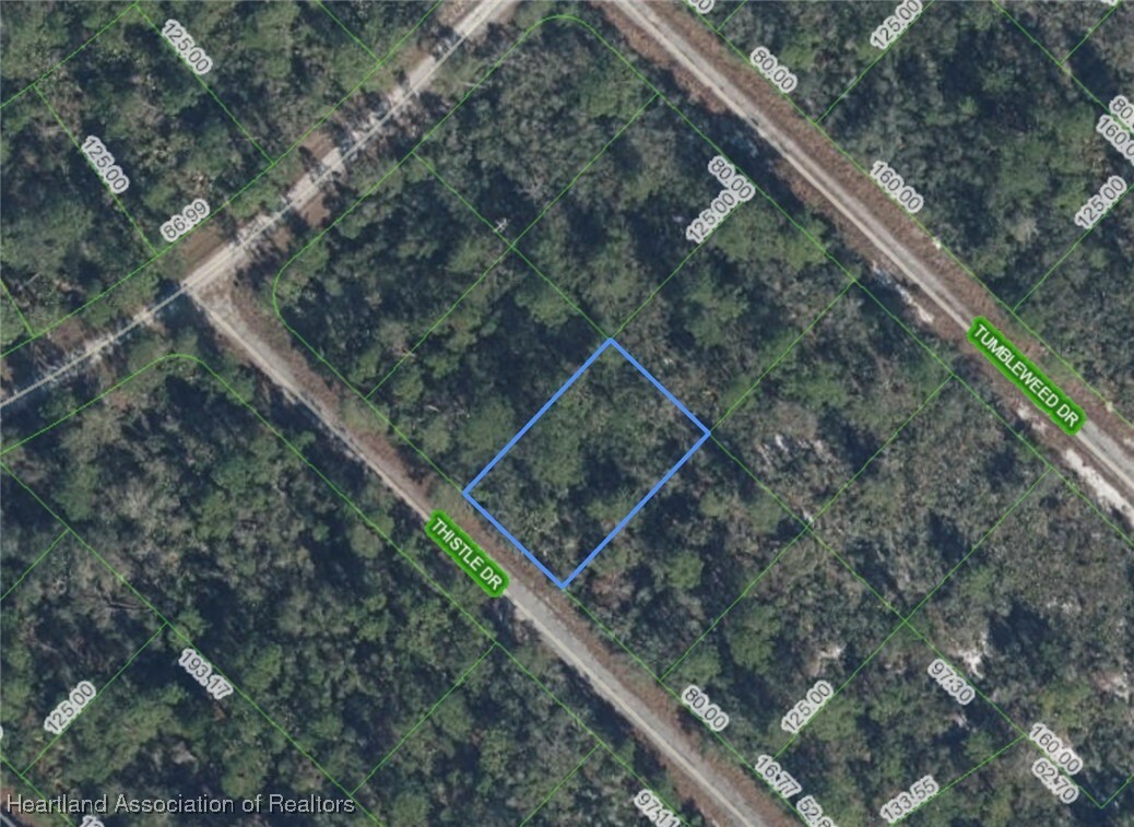 Property Photo:  3229 Thistle Drive  FL 33852 