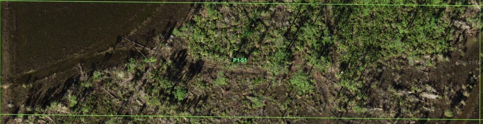 Property Photo: 33296 Oil Well Road FL 33955