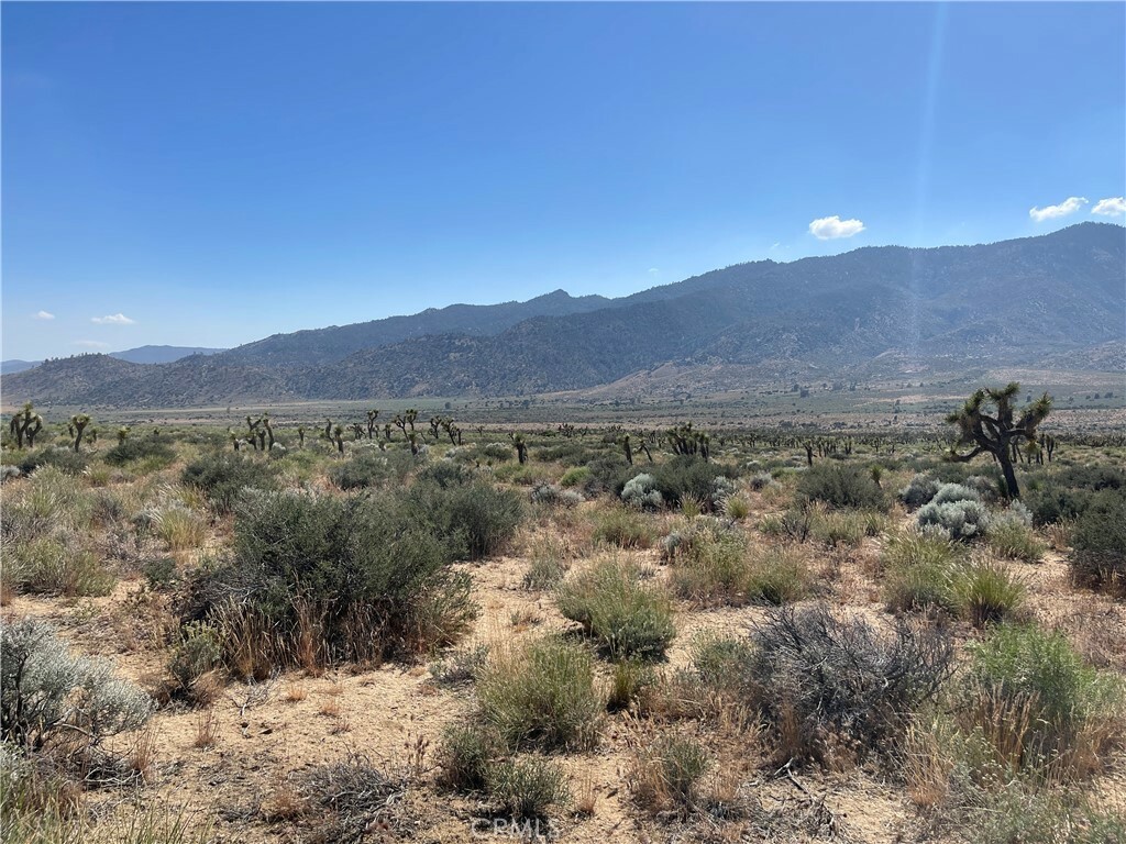 Property Photo: 15310023 Kelso Valley Road CA 93283
