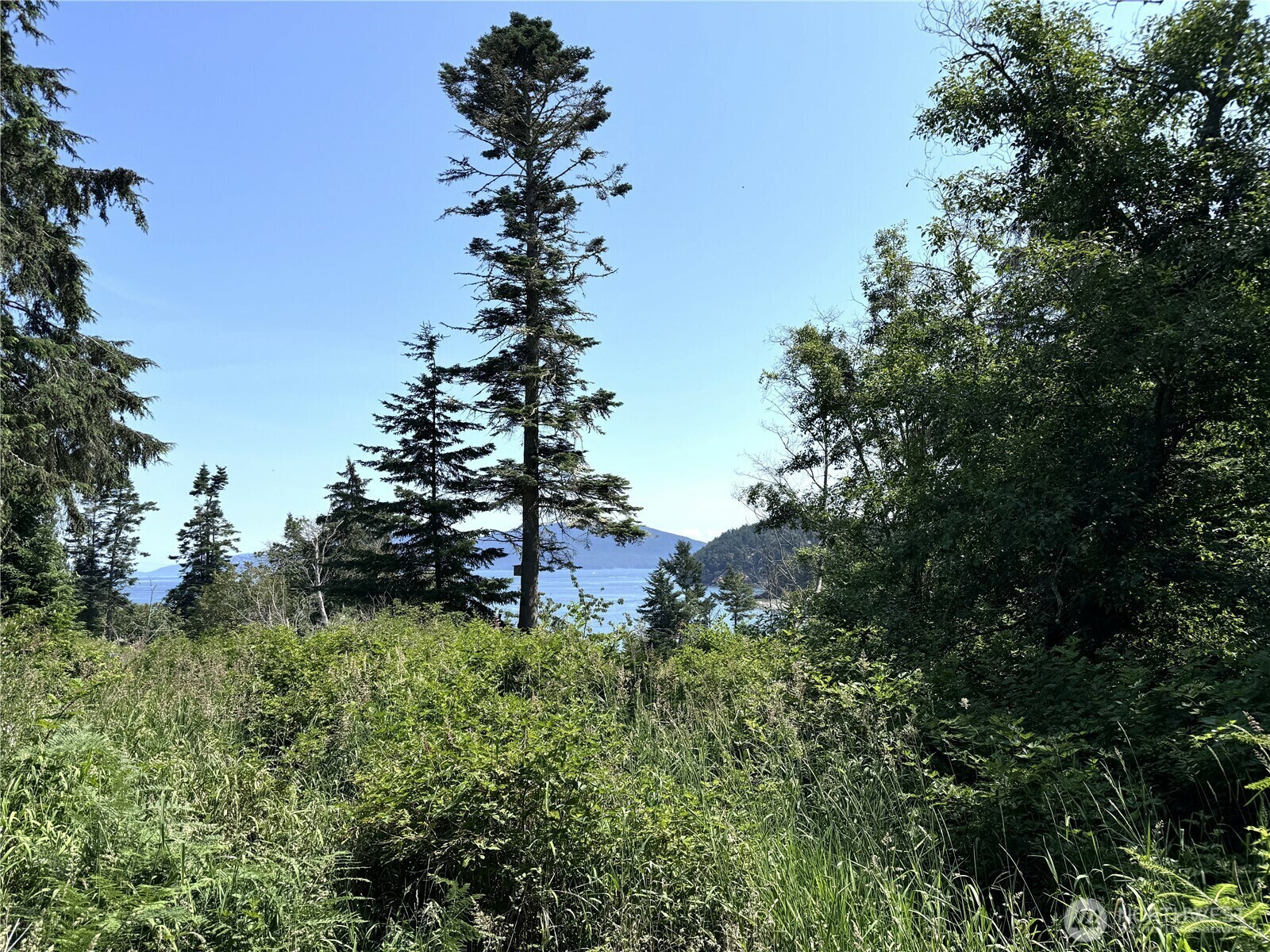 Property Photo: 0 Davis Beach Road WA 98221