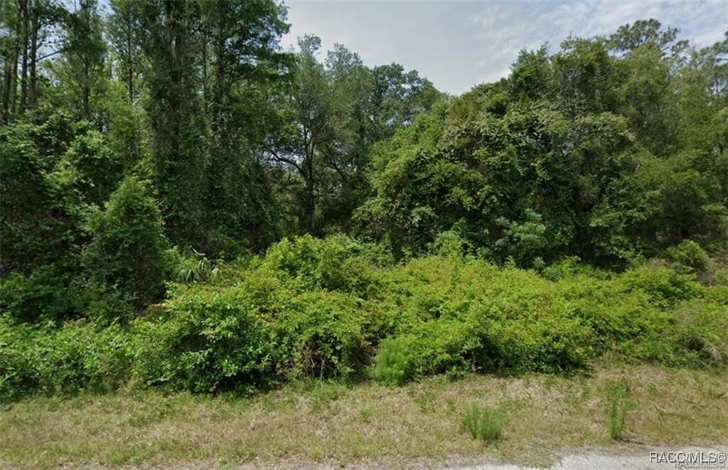 Property Photo:  9296 N Black Oak Way  FL 34428 