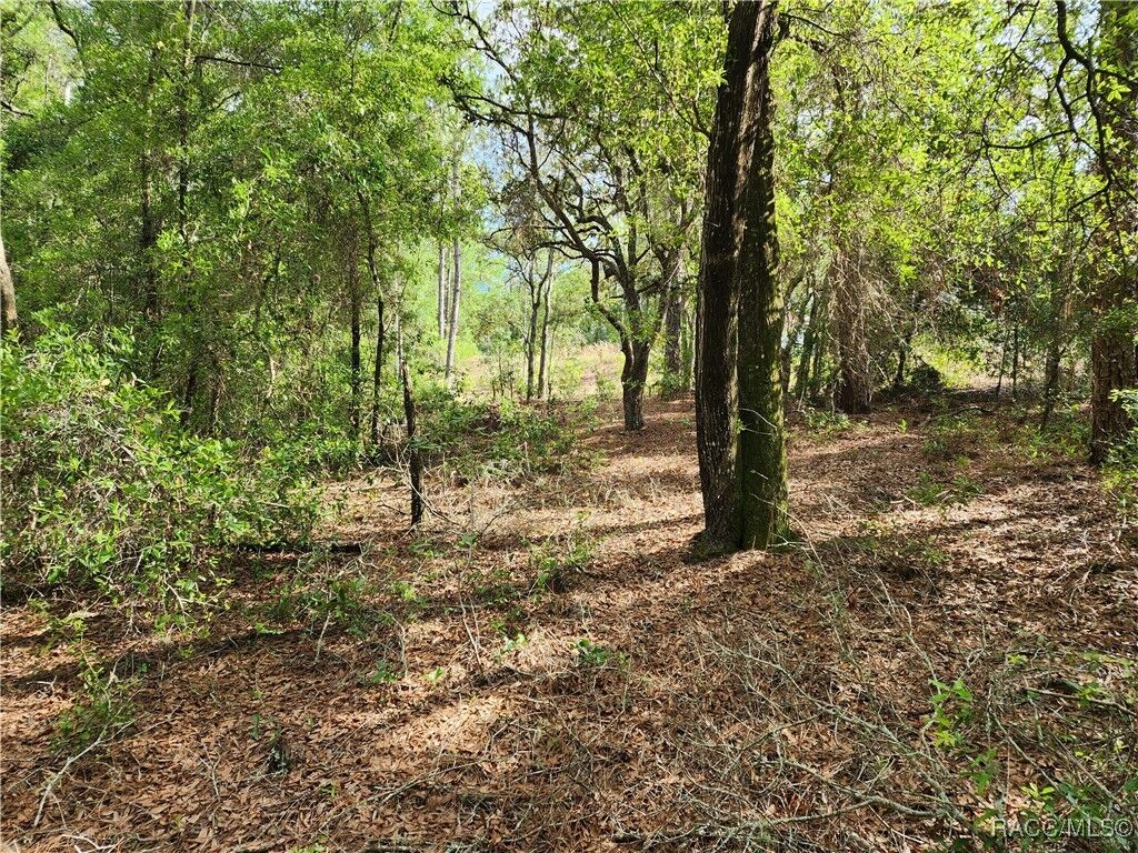 Property Photo:  11107 N Mataro Avenue  FL 34434 