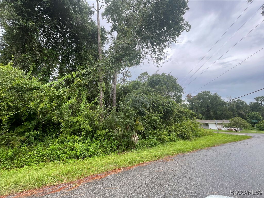 Property Photo: 4422 S Rainbow Drive FL 34452
