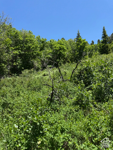 Property Photo: Unknown UT 84629