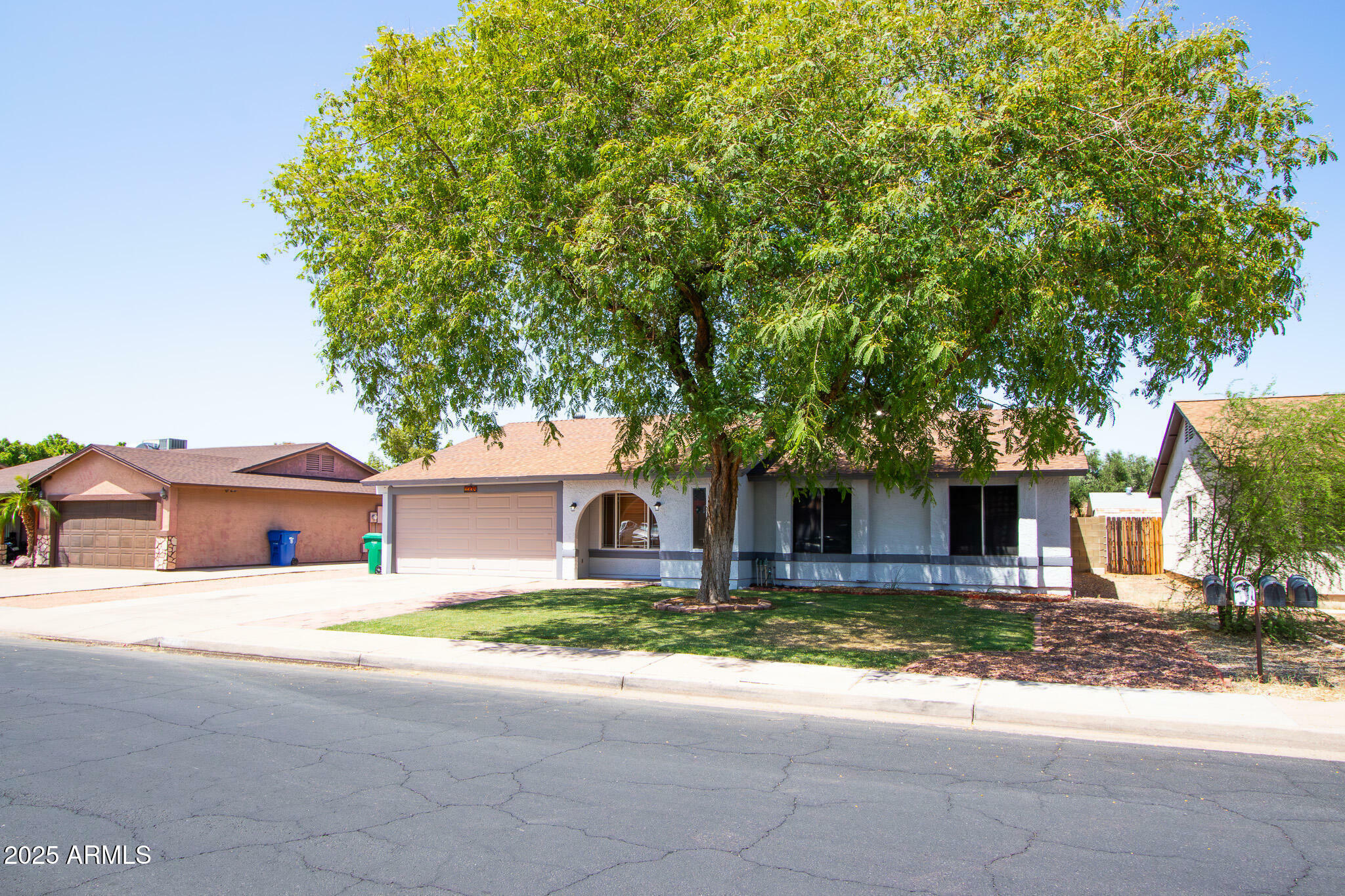 Property Photo:  2338 E Javelina Avenue  AZ 85204 