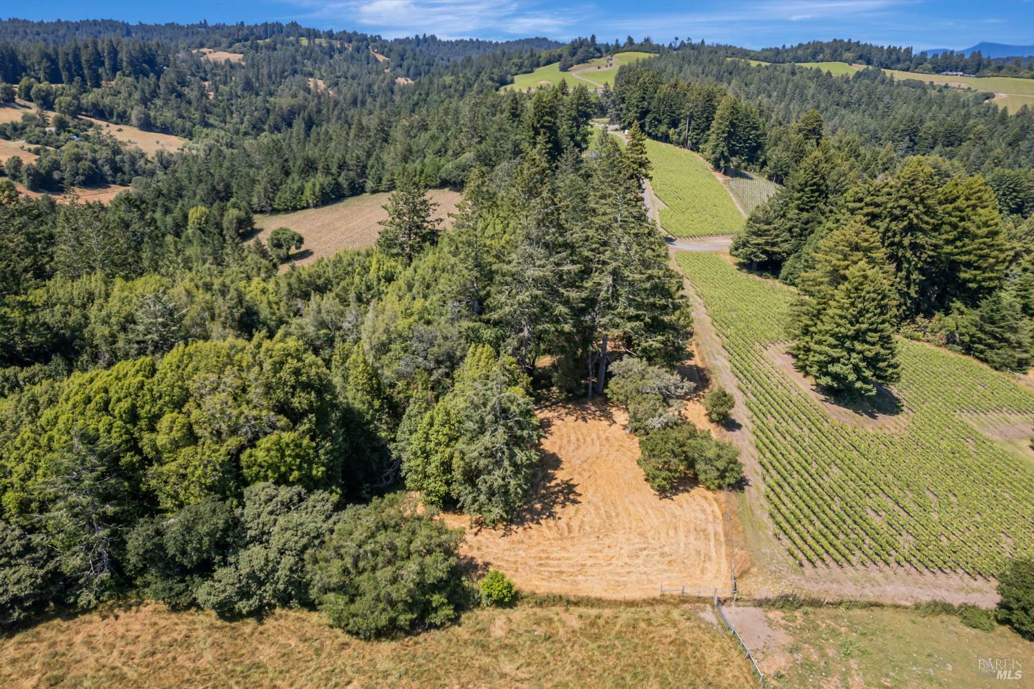 Property Photo: 0 S Bodega Highway CA 95472