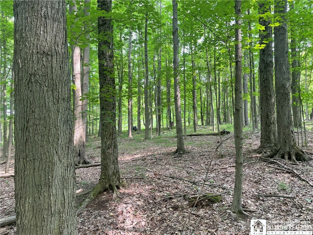 Property Photo: 1479 Orr St. Extension NY 14701