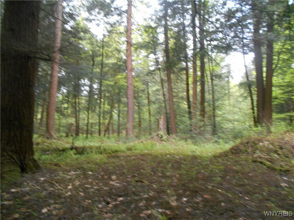 Property Photo: Trevett Road NY 14141