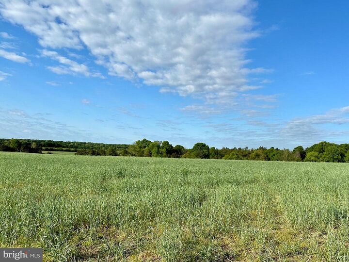 Property Photo: Lot 8 Zachary Taylor Hwy VA 22567