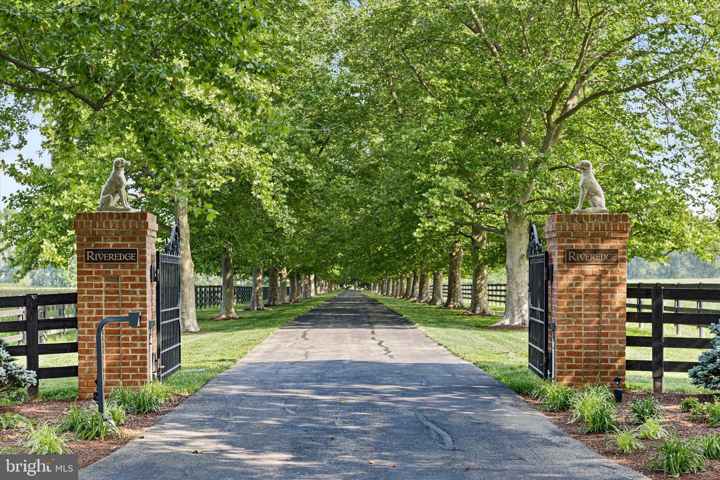 Property Photo: 1455 Cayots Corner Road MD 21915