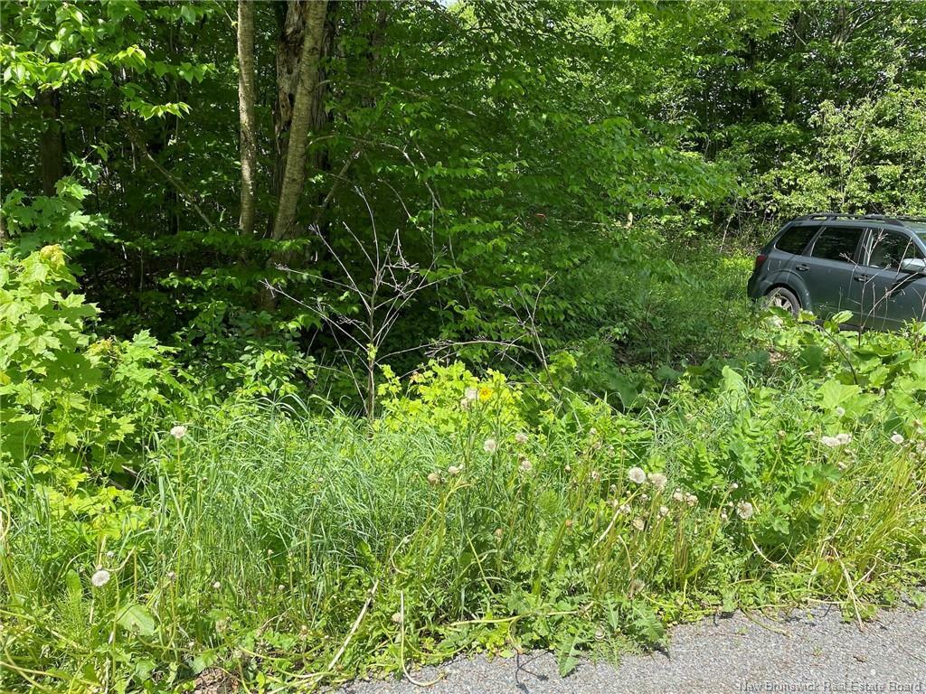 Photo de la propriété: 1133 Route 570 NB E7L 2P1