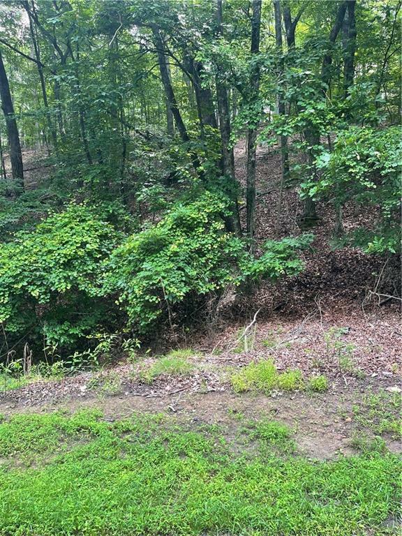 Property Photo: 118 Morning Star Drive GA 30183