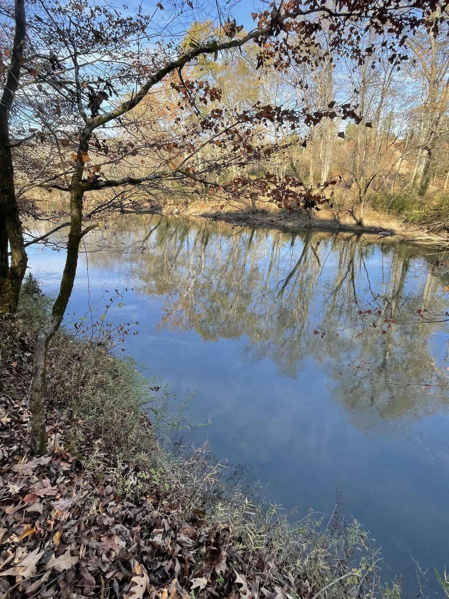 Property Photo:  3713 Shamrock Drive  TN 37406 