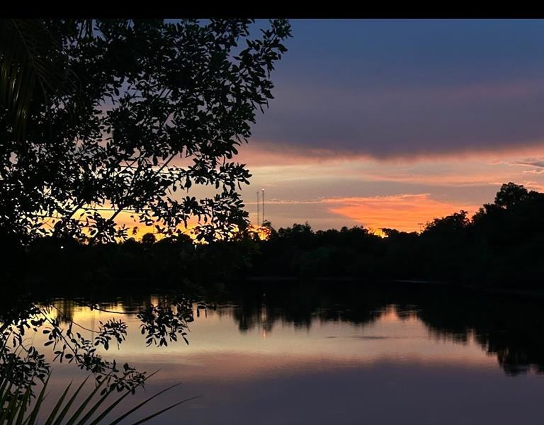 Property Photo: 1457 NW 129th Way FL 33323