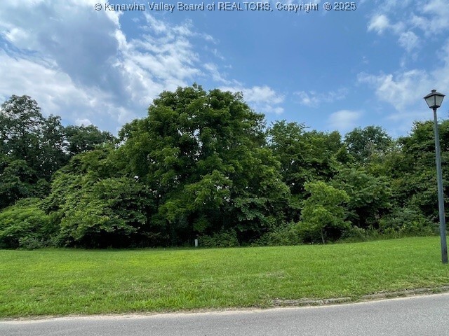 Property Photo: 0 Brenda Lane WV 25312