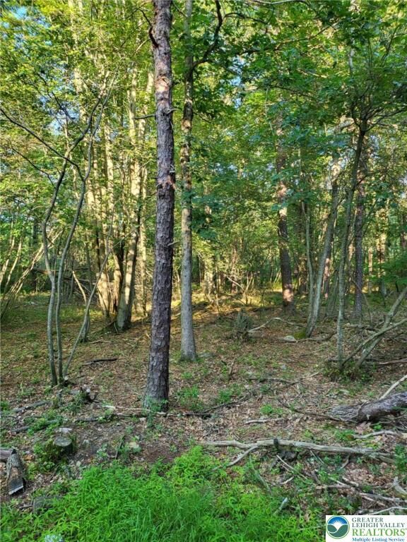 Property Photo: 5120 Pine Tr Lane 808,809 PA 18346