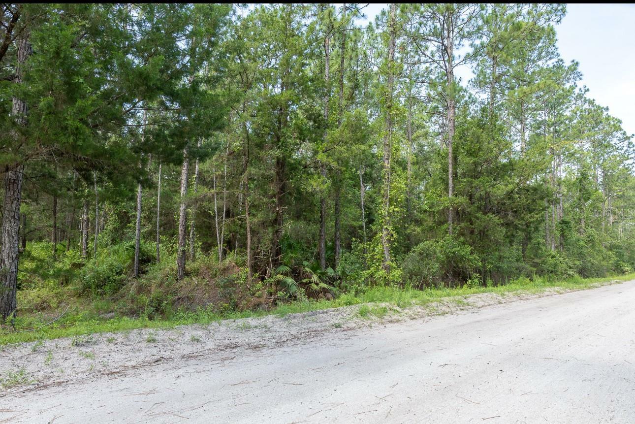 Property Photo: 5661 Ironwood Avenue FL 32110