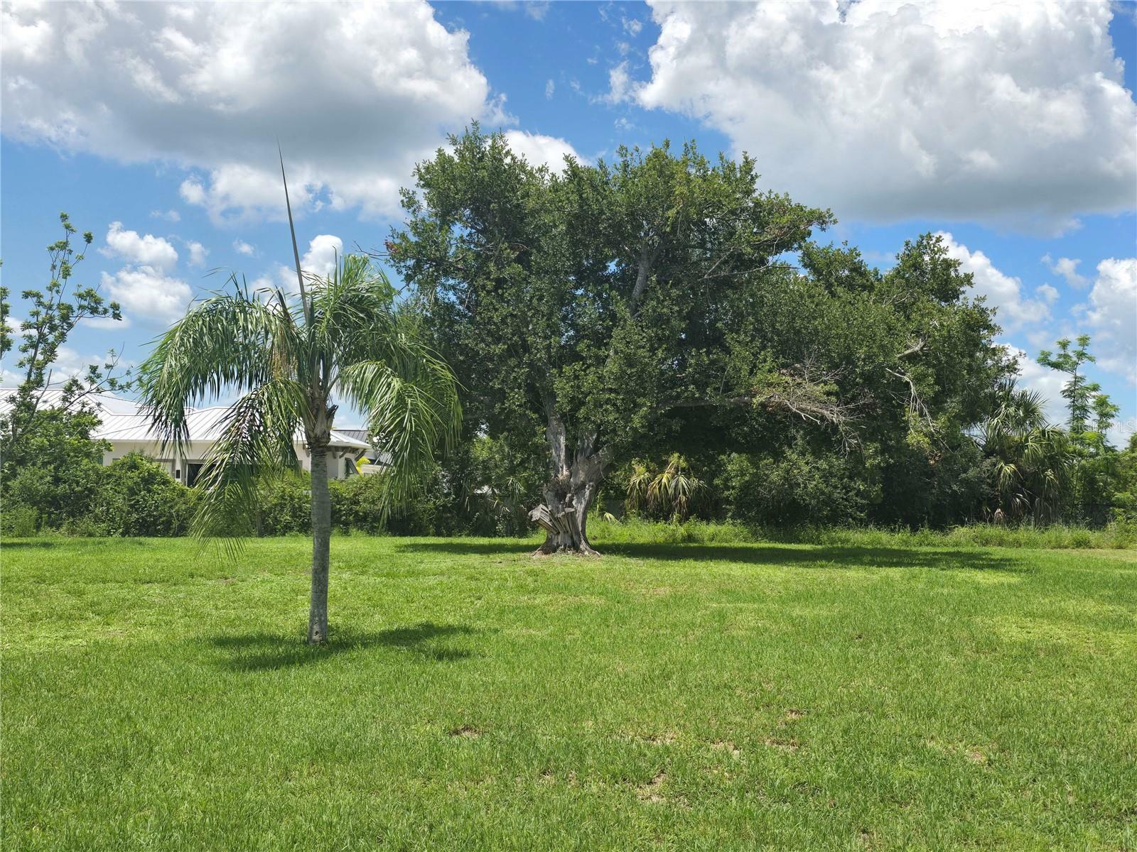 Property Photo:  28426 Coco Palm Drive  FL 33982 