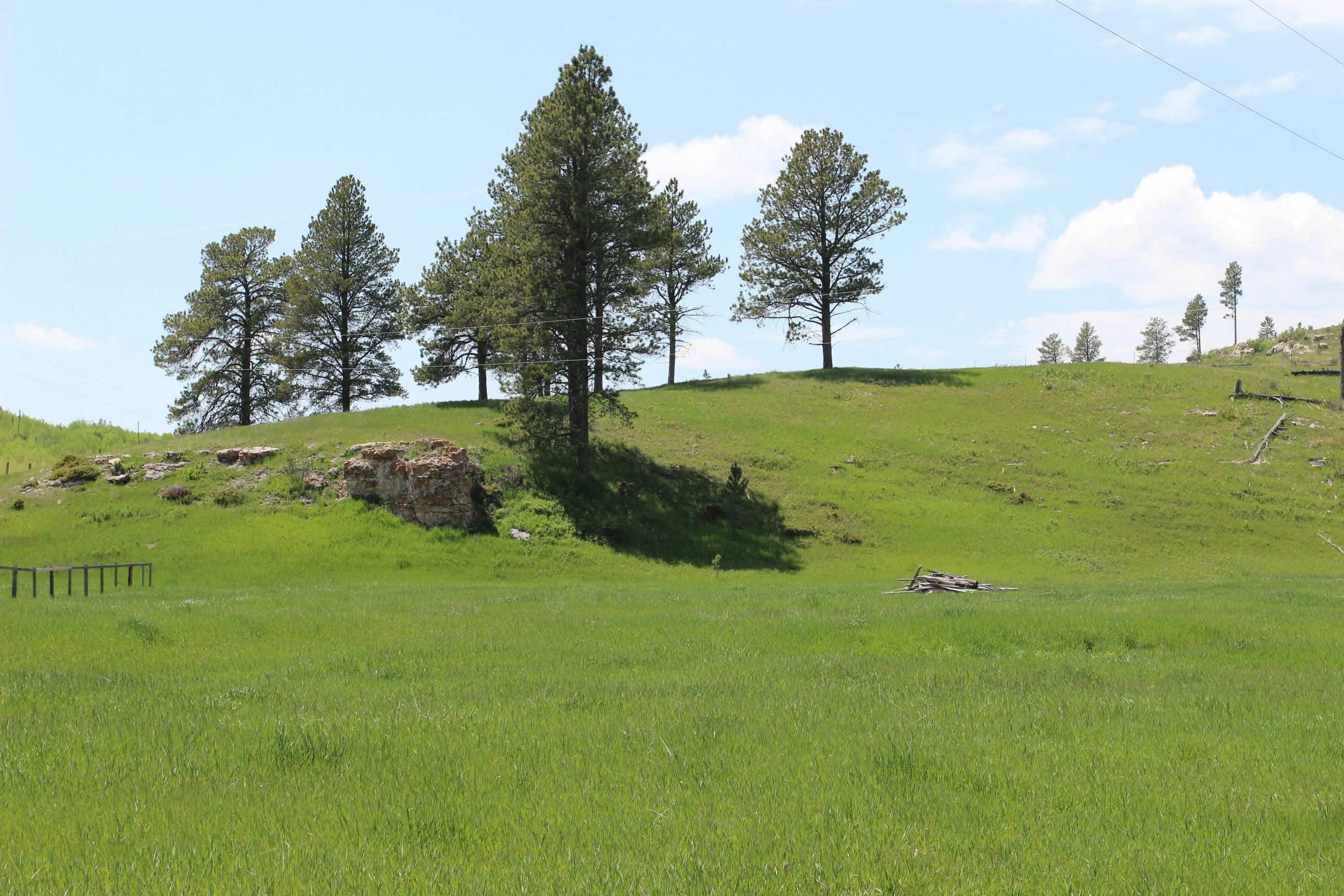 Property Photo: 11246 Custer Limestone Road SD 57730-0000