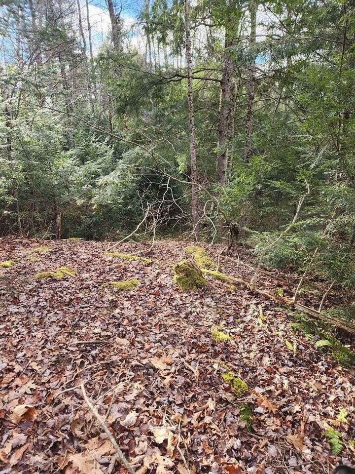 Property Photo:  86 Oak Hill Road  ME 04915 