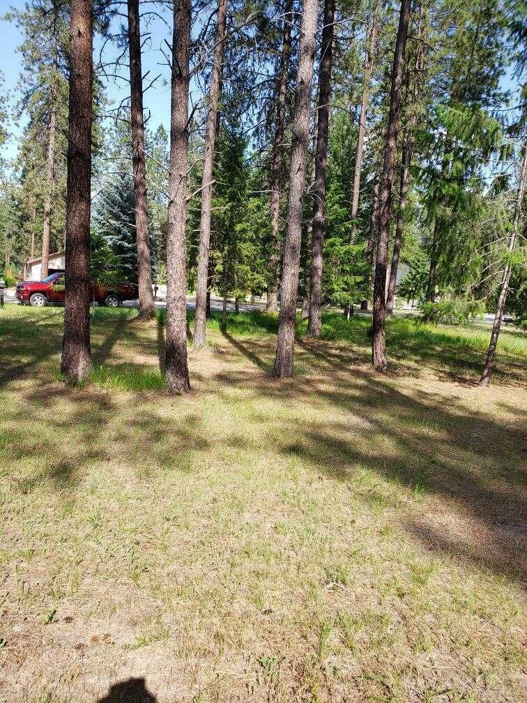 Property Photo: 256 Eagle Dr. Dr WA 99109