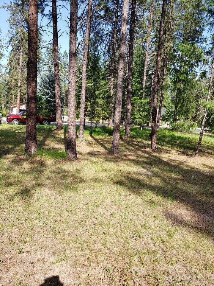 Property Photo: 256 Eagle Dr. Dr WA 99109