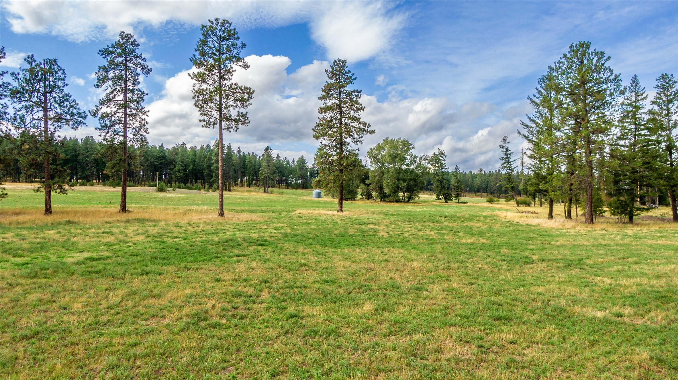 Property Photo: 147 Patriots Lane MT 59912