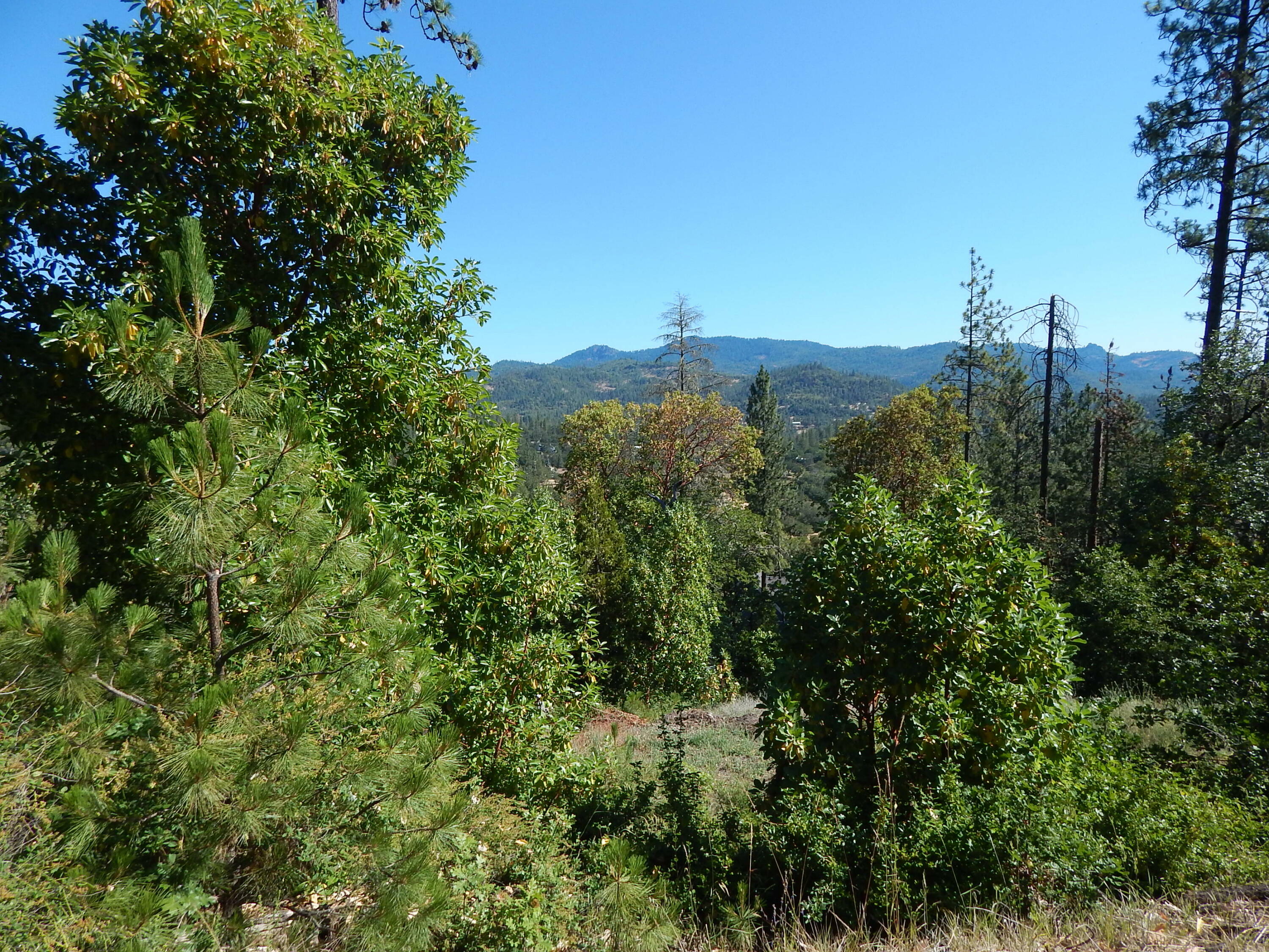 Property Photo: 635 Sarma Drive OR 97539