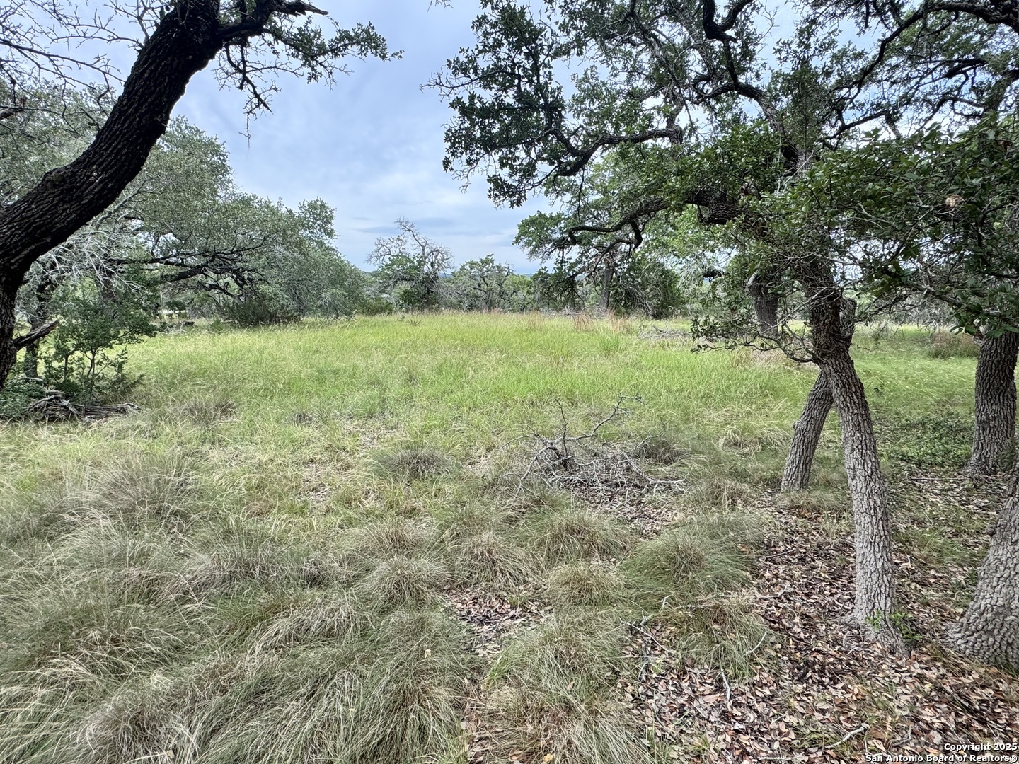 Property Photo: 34776 High Gate TX 78163