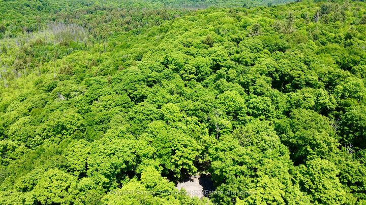 Photo de la propriété: 265 Sharon Drive ON P1H 2J6