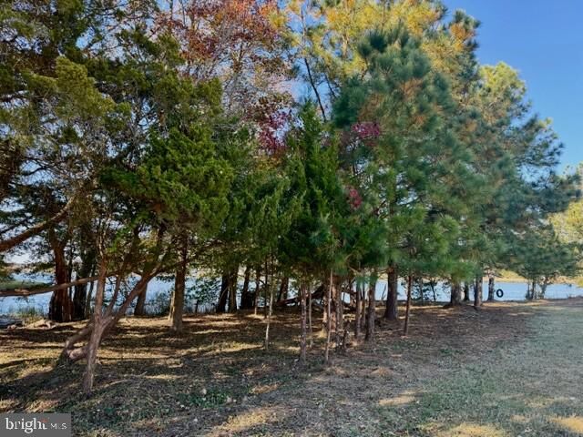 Property Photo: 11429 Maid At Arms Lane Lot 89 MD 21811